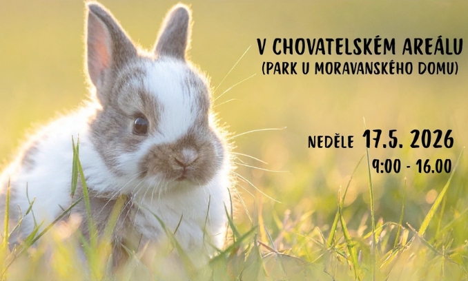Ukázka zvířat