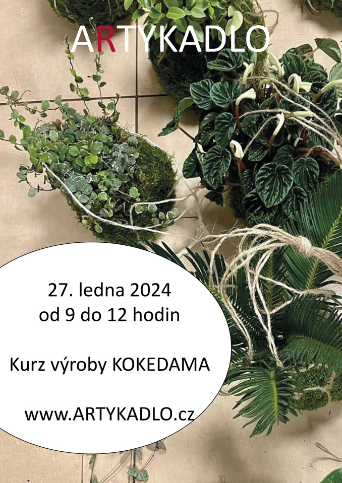 Model.Name: 2024 01 27 Artykadlo Kokedama