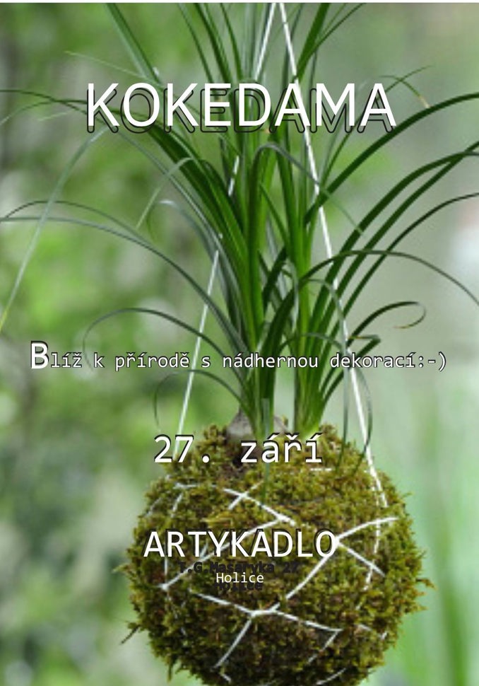 Model.Name: 2026 09 27 IC Kokedama