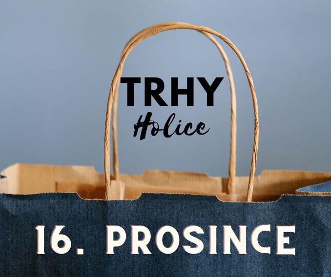 Model.Name: 2024 12 16 Holice Nemec Trhy