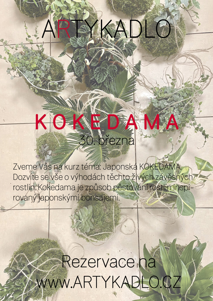 Model.Name: 2025 03 30 Holice Artykadlo Kokedama