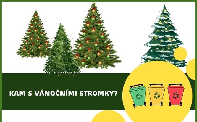 Kam s vánočním stromečkem?