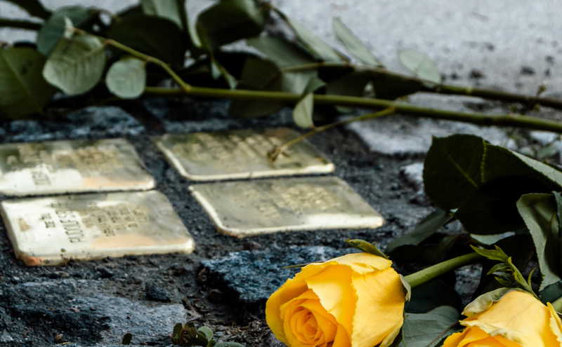 Zobrazit obrázek: DSC 0153