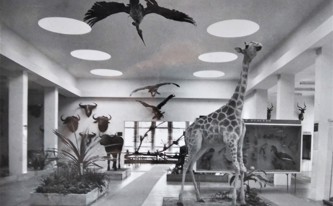 Původní expozice Památníku Dr. Emila Holuba 1