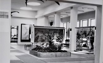 Původní expozice Památníku Dr. Emila Holuba 5