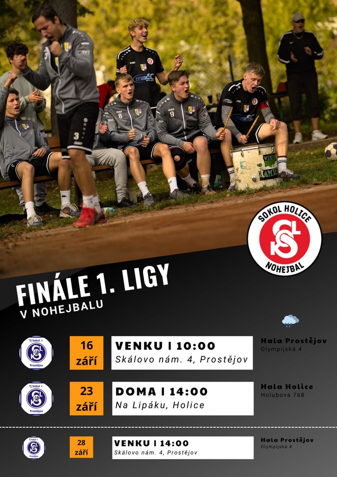 Model.Name: 20230923 Holice Nohejbal